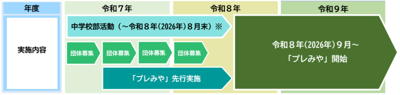 地域展開に向けたスケジュール