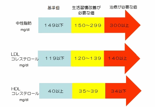 脂質異常に関する検査項目の基準値