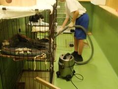 トライやるウィーク画像（2）