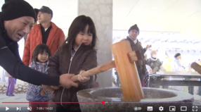 活動の様子